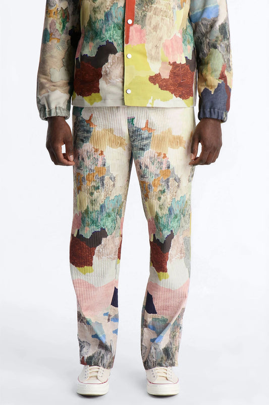 Straight Painters Room Printed Pant - Multi Color