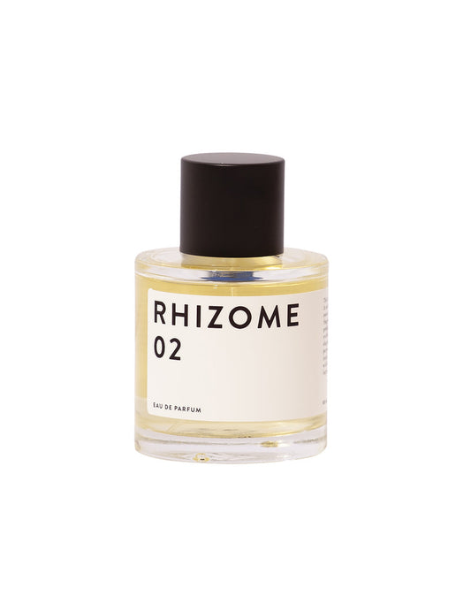 Rhizome 02